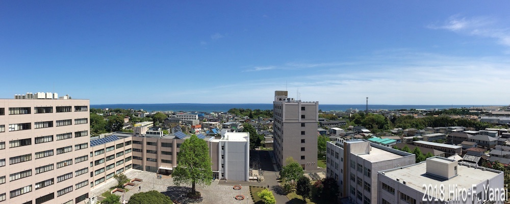 茨城大学日立工学部キャンパスE5棟から海側を眺める．人間情報工学研究室はE5棟5F．